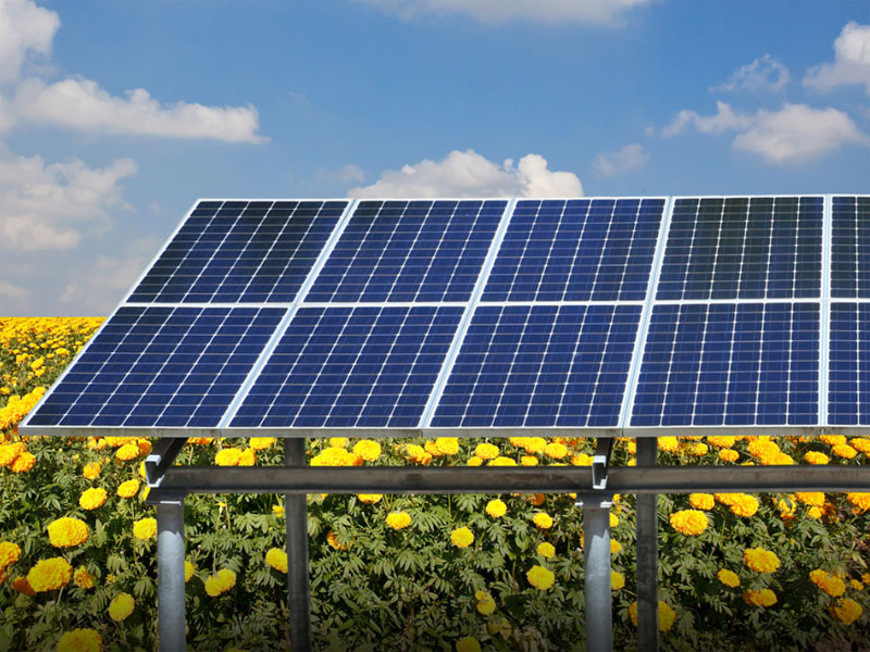 Eropah: Pertanian Fotovoltaik Telah Menjadi Trend Pembangunan Utama pada Masa Hadapan