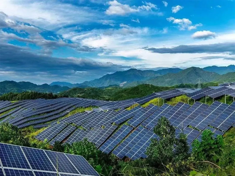 Food and Beverage Brand Nestlé Invests in 326MW PV Project