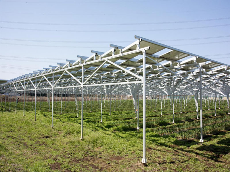 Germany Explores the Development of Agricultural Photovoltaics